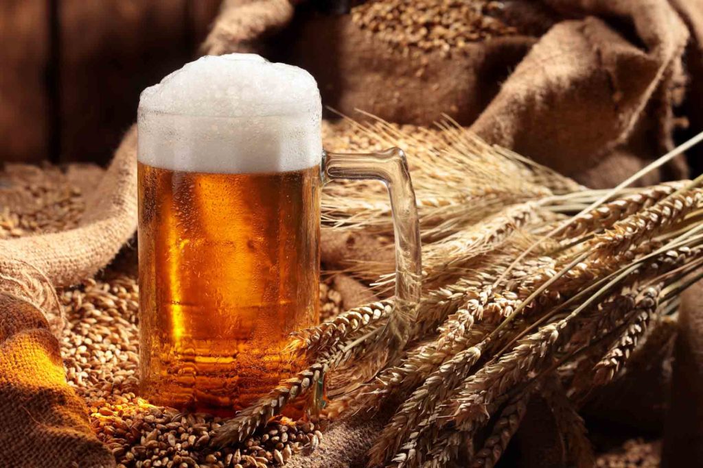 beer and foam in front of grains
