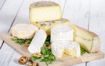 Jebsen & Jessen Ingredients’ Contribution to the Growth of the Cheese Industry in Indonesia