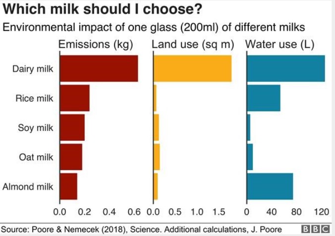 Environmental impact of different milks