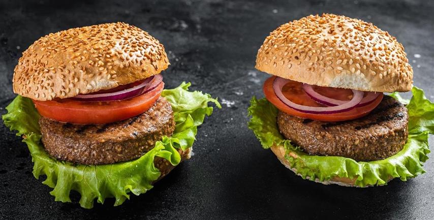 vegan-burger-with-plant-based-meatless-cutlets-patties-tomato-onion-black-background-top-view(Small)