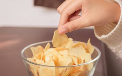 Baked High Protein Chips