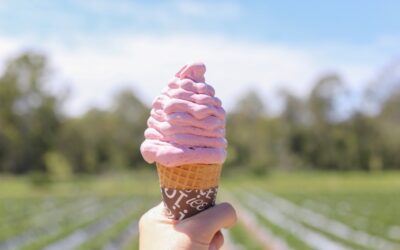 Beauty Berry Sherbet Soft Serve