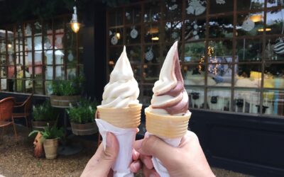 Sweet Escape Soft Serve Duo: Indulgent Taste, Functional Benefits